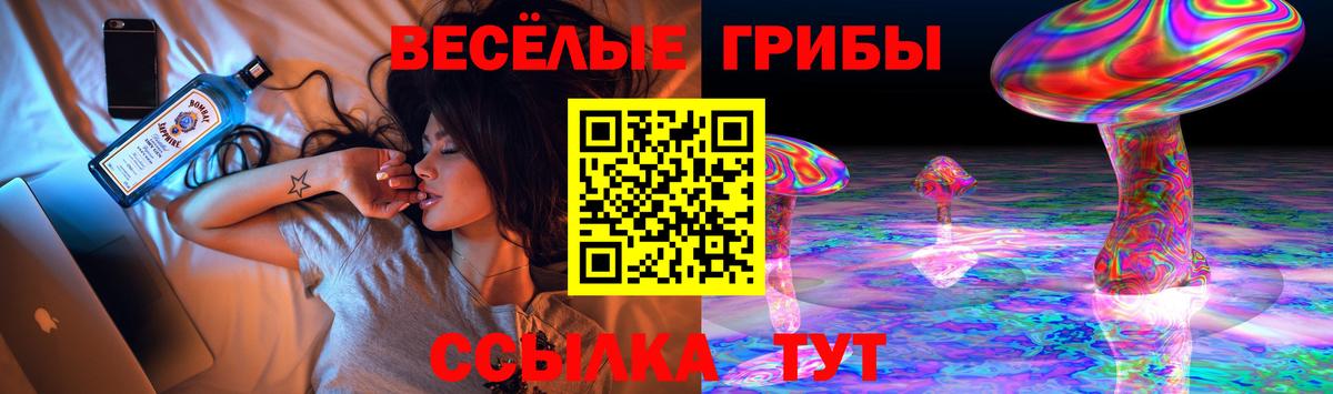 Галлюциногенные грибы Cubensis Усть-Джегута