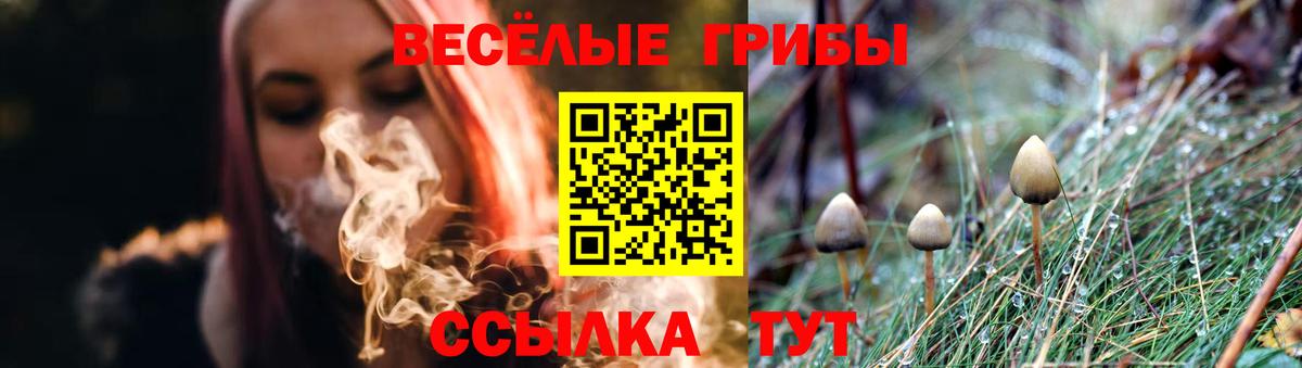 Галлюциногенные грибы GOLDEN TEACHER  Вход с VPN  Псилоцибиновые грибы MAGIC MUSHROOMS  Усть-Джегута 